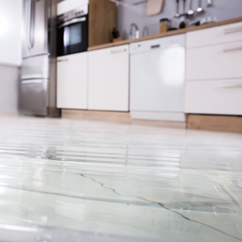 flooded floor in kitchen from a leak